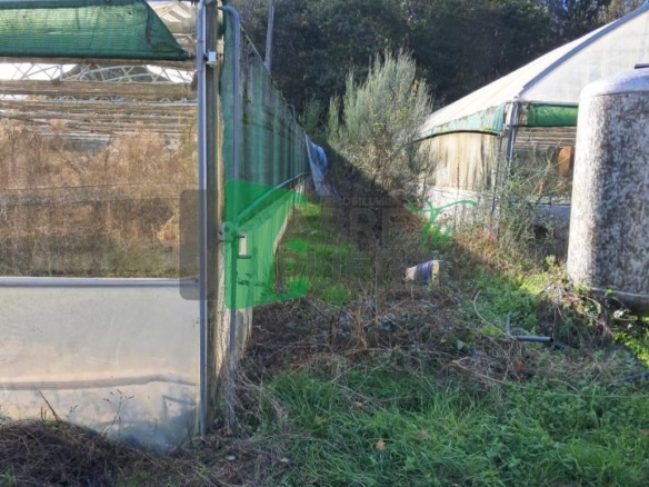 Finca Rústica en Vilamarín