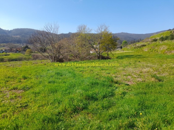 TERRENO RÚSTICO DE 2.392 M2