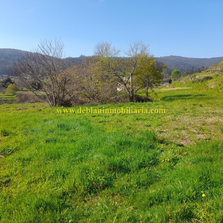 TERRENO RÚSTICO DE 2.392 M2