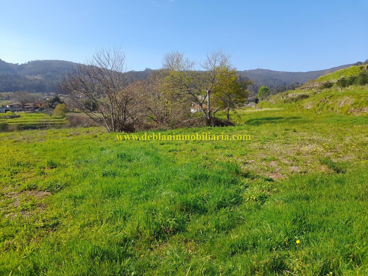 174317525577100009629_174317515204 TERRENO RÚSTICO DE 2.392 M2