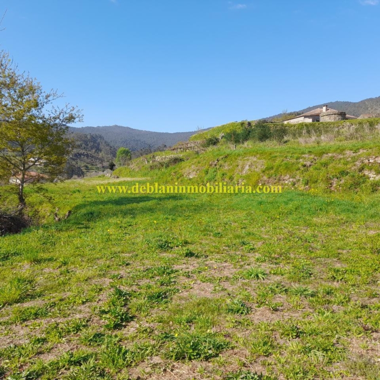 TERRENO RÚSTICO DE 2.392 M2