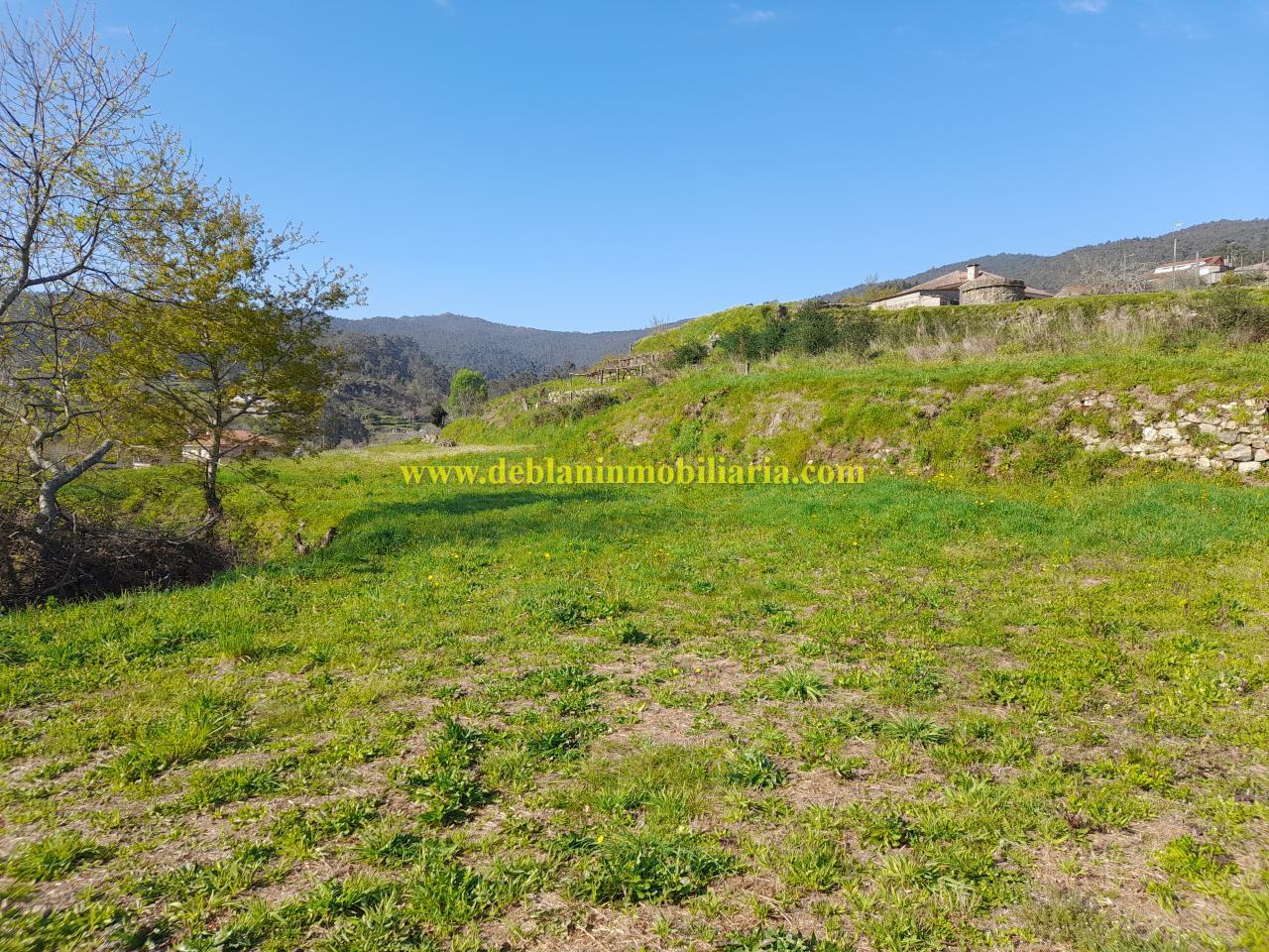 174317525630400009629_174317515369 TERRENO RÚSTICO DE 2.392 M2