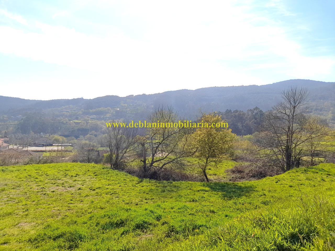 174317525671400009629_174317515962 TERRENO RÚSTICO DE 2.392 M2