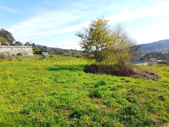 TERRENO RÚSTICO DE 2.392 M2
