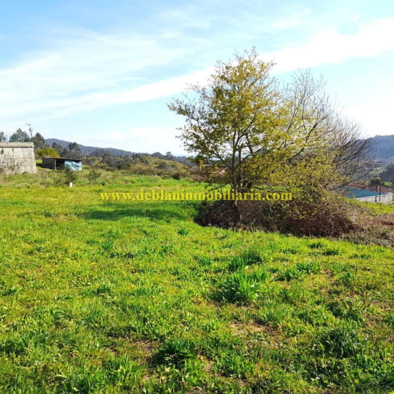 TERRENO RÚSTICO DE 2.392 M2
