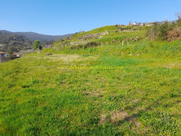 TERRENO RÚSTICO DE 2.392 M2