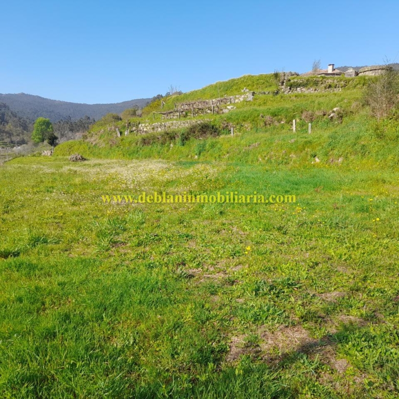 TERRENO RÚSTICO DE 2.392 M2