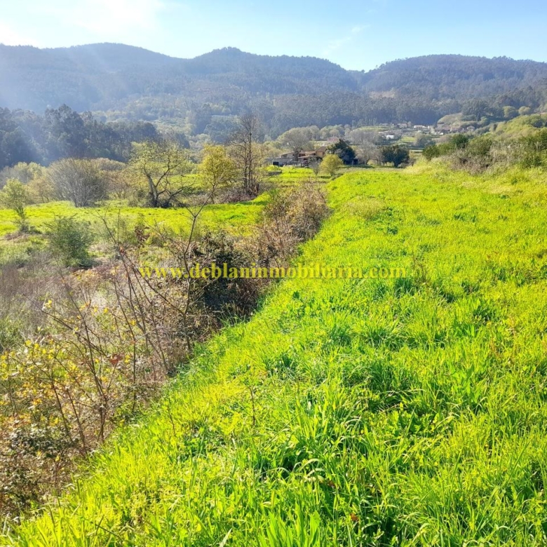 TERRENO RÚSTICO DE 2.392 M2