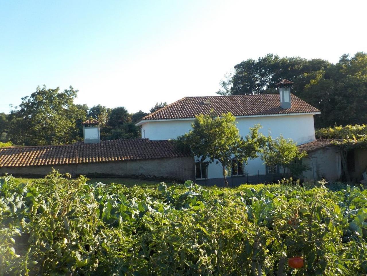 174326187086200033103_174326101958 CASA RURAL EN PIÑEIROS