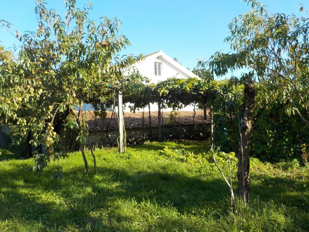 174326187899700033103_174326101611 CASA RURAL EN PIÑEIROS