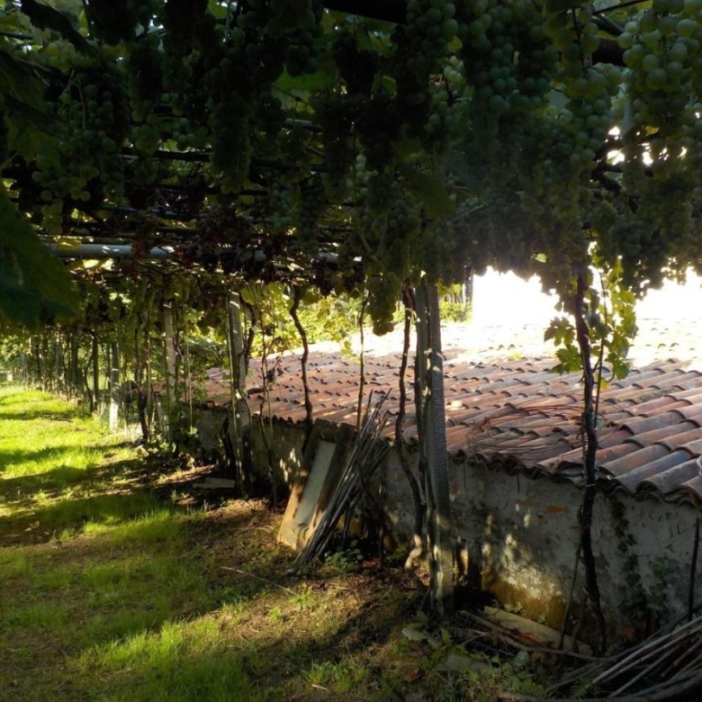 CASA RURAL EN PIÑEIROS