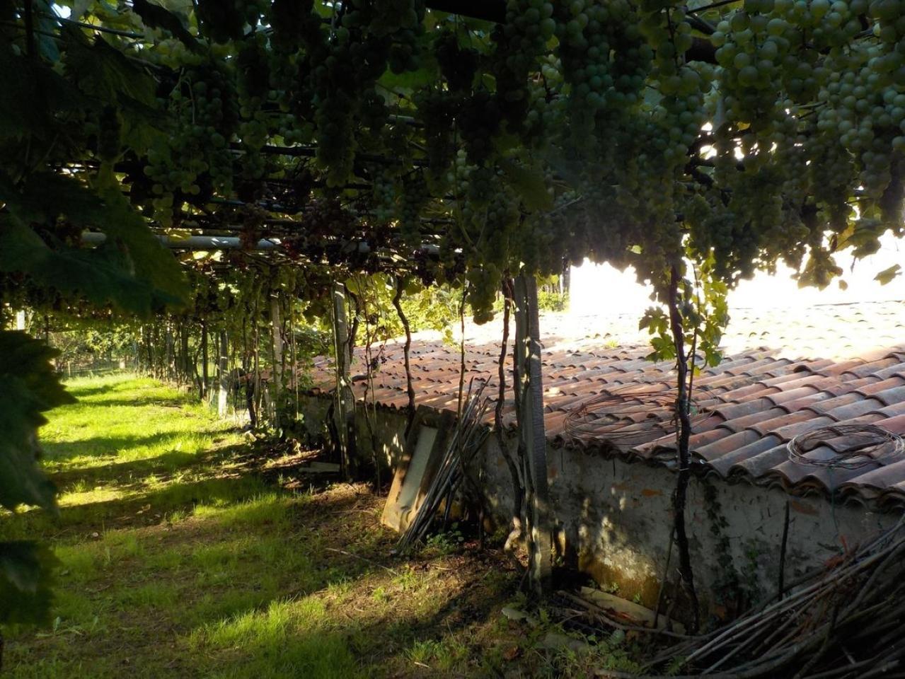174326187997100033103_174326101704 CASA RURAL EN PIÑEIROS