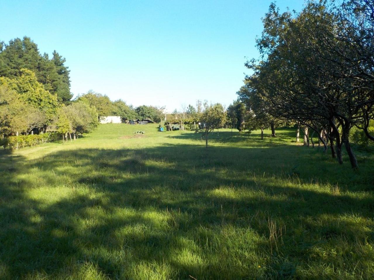 174326188154500033103_174326101655 CASA RURAL EN PIÑEIROS