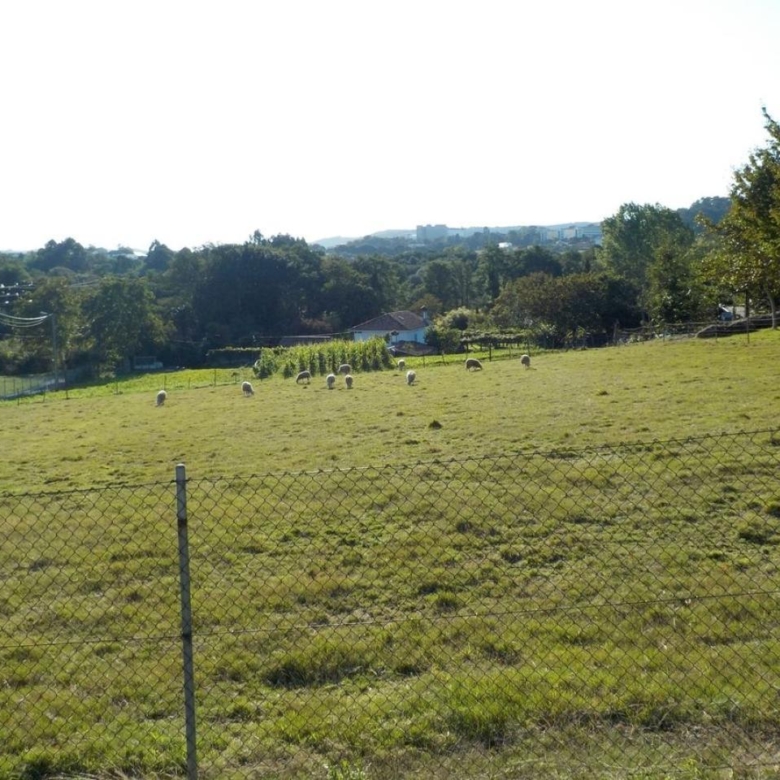 CASA RURAL EN PIÑEIROS