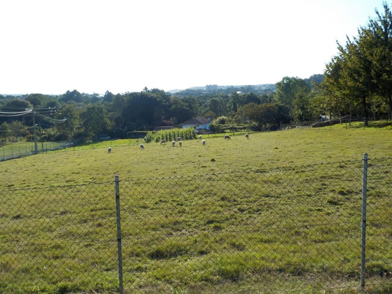 174326188420200033103_174326101870 CASA RURAL EN PIÑEIROS
