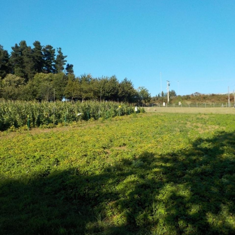 CASA RURAL EN PIÑEIROS