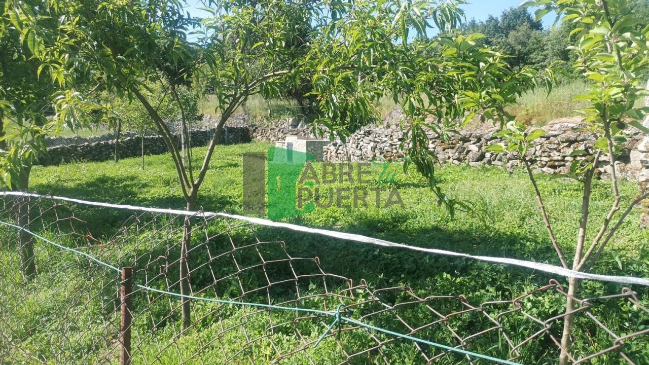 174369423342000040129_173885685349 CASA EN VENTA