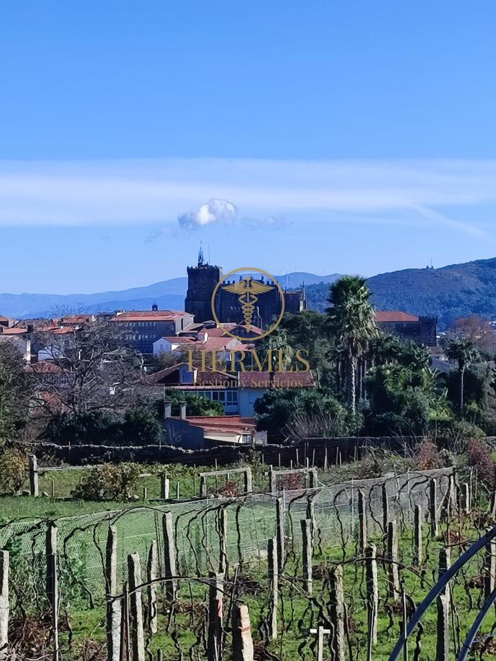 174885881818700009198_173142328585 Solar en venta, a 900 m del centro de Tui.