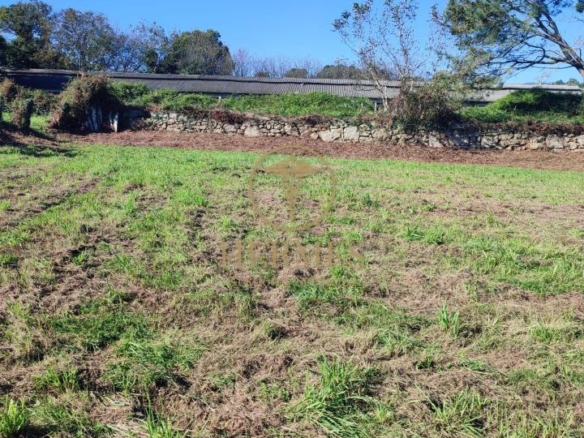 Solar en venta, a 900 m  del centro de Tui.