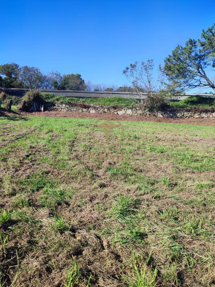 174885882058000009198_173142329116 Solar en venta, a 900 m del centro de Tui.