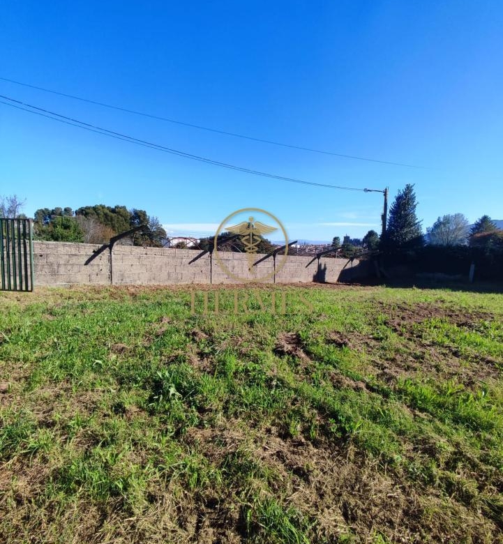 Solar en venta, a 900 m  del centro de Tui.
