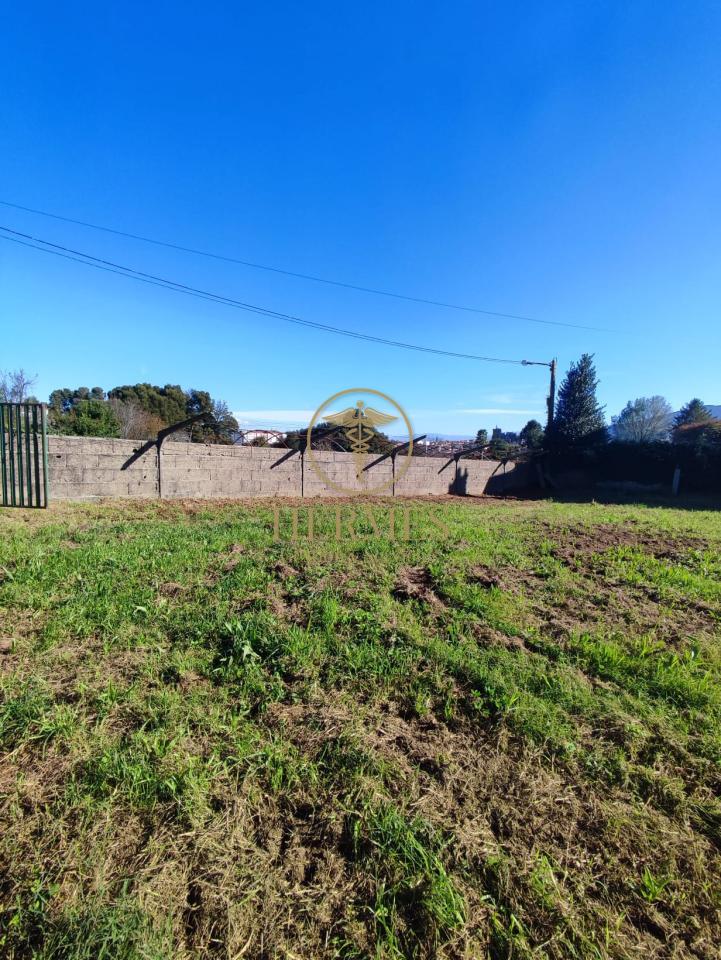 174885882108800009198_173142329367 Solar en venta, a 900 m del centro de Tui.