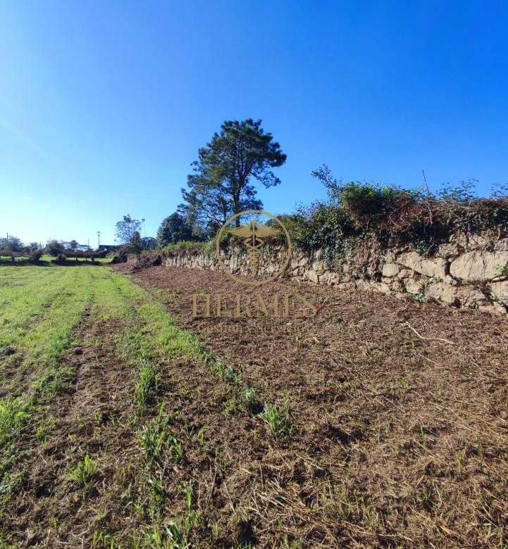 Solar en venta, a 900 m  del centro de Tui.
