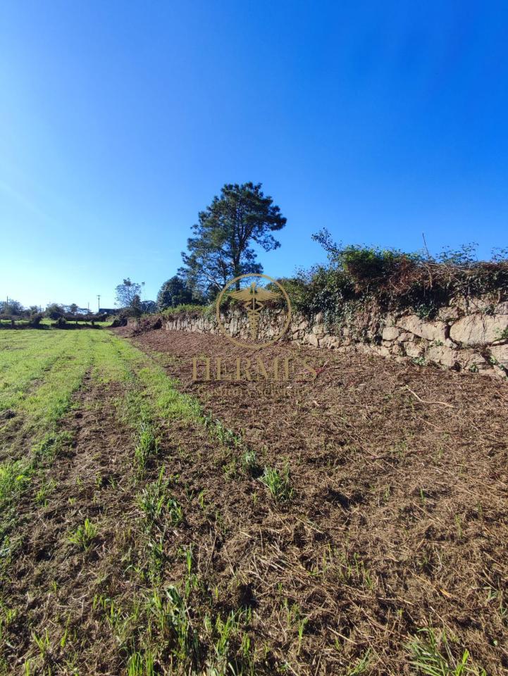174885882233400009198_173142329447 Solar en venta, a 900 m del centro de Tui.