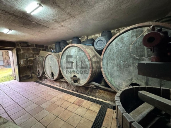 VENTA DE CASA CON 2HA. VIÑAS