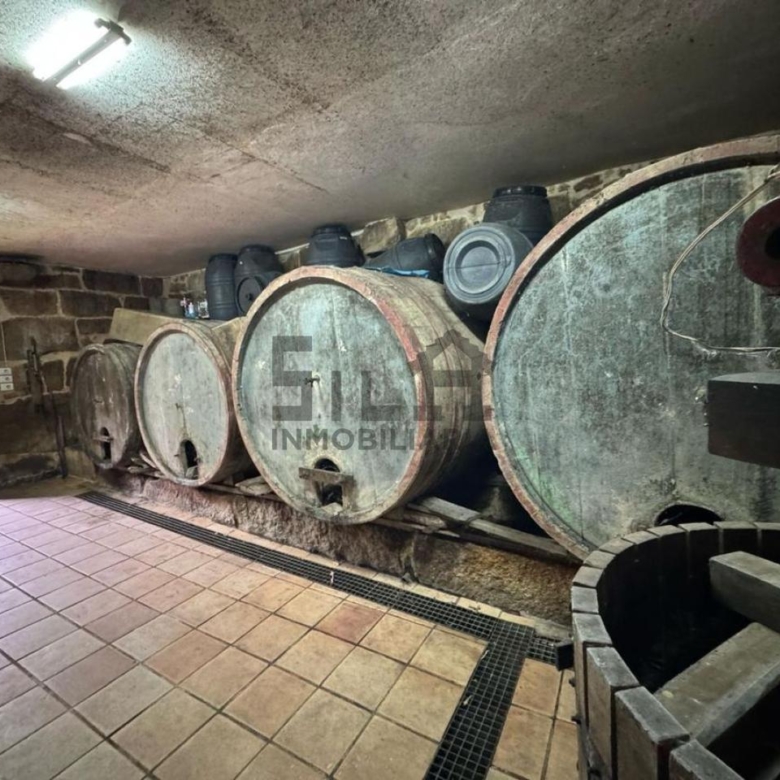 VENTA DE CASA CON 2HA. VIÑAS