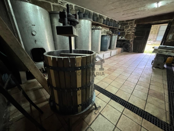VENTA DE CASA CON 2HA. VIÑAS