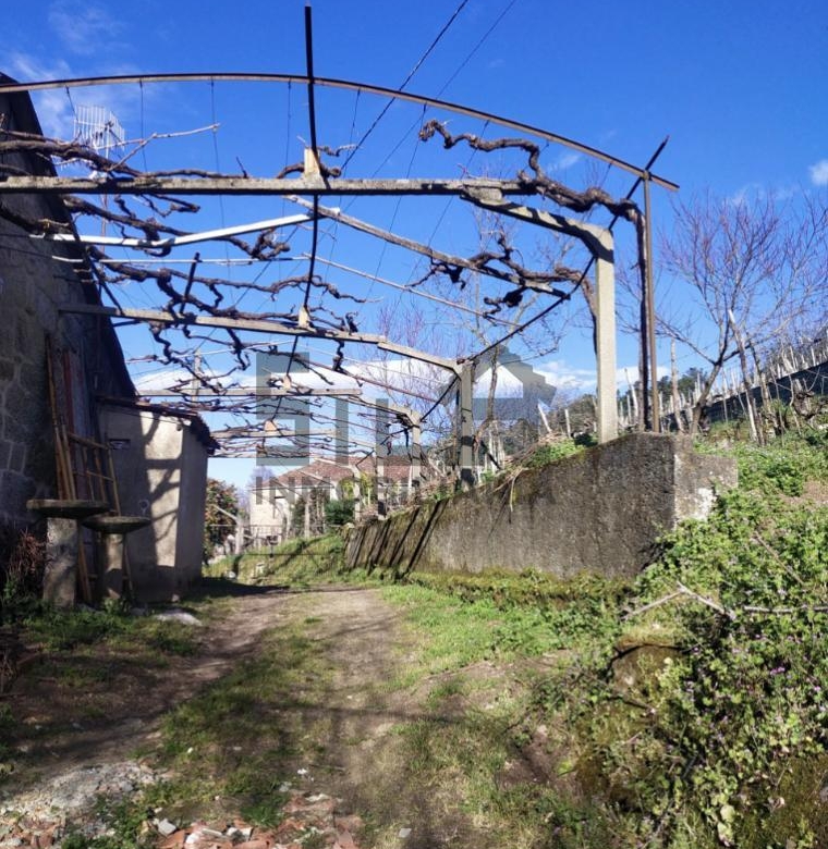 VENTA DE CASA CON 2HA. VIÑAS