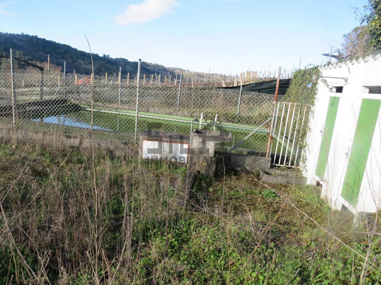 174920930671700041480_174920818198 VENTA DE CASA CON 2HA. VIÑAS