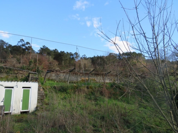 VENTA DE CASA CON 2HA. VIÑAS