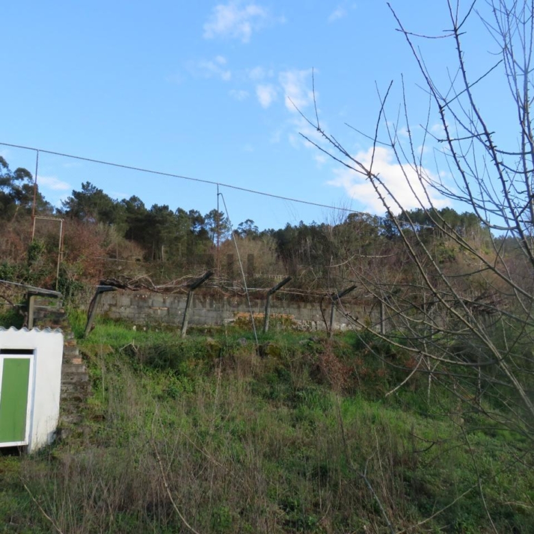 VENTA DE CASA CON 2HA. VIÑAS