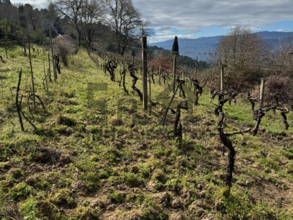 VENTA DE CASA CON 2HA. VIÑAS