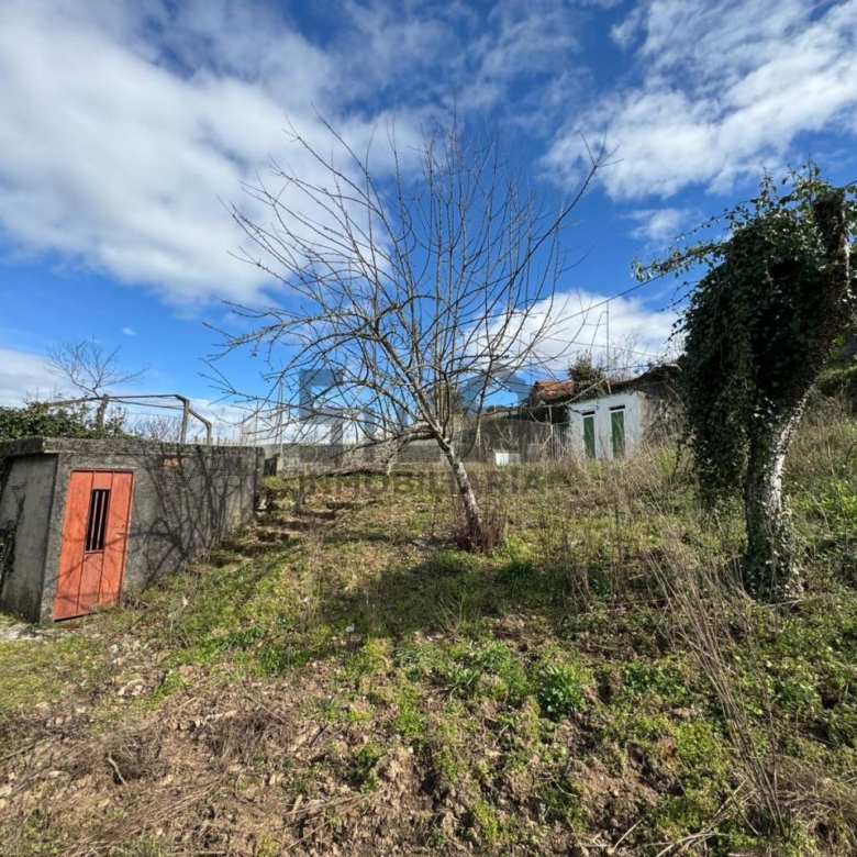 VENTA DE CASA CON 2HA. VIÑAS