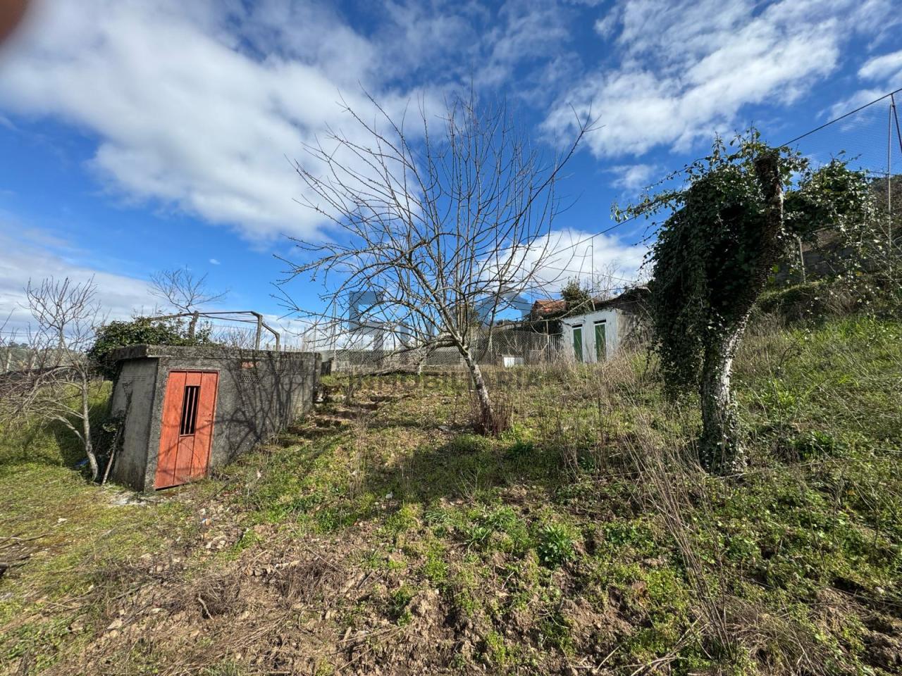 174921012867800041480_174920816215 VENTA DE CASA CON 2HA. VIÑAS