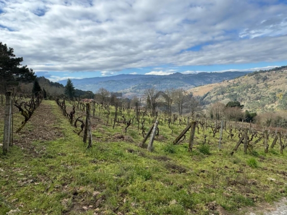 VENTA DE CASA CON 2HA. VIÑAS