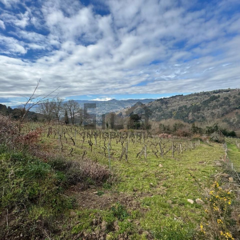 VENTA DE CASA CON 2HA. VIÑAS