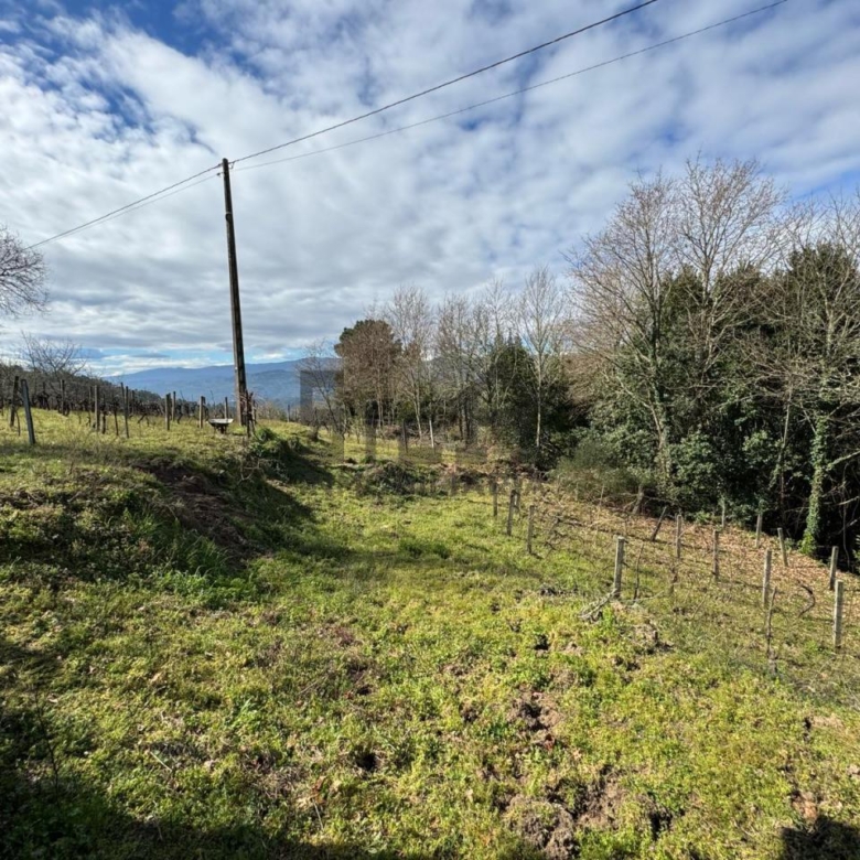 VENTA DE CASA CON 2HA. VIÑAS
