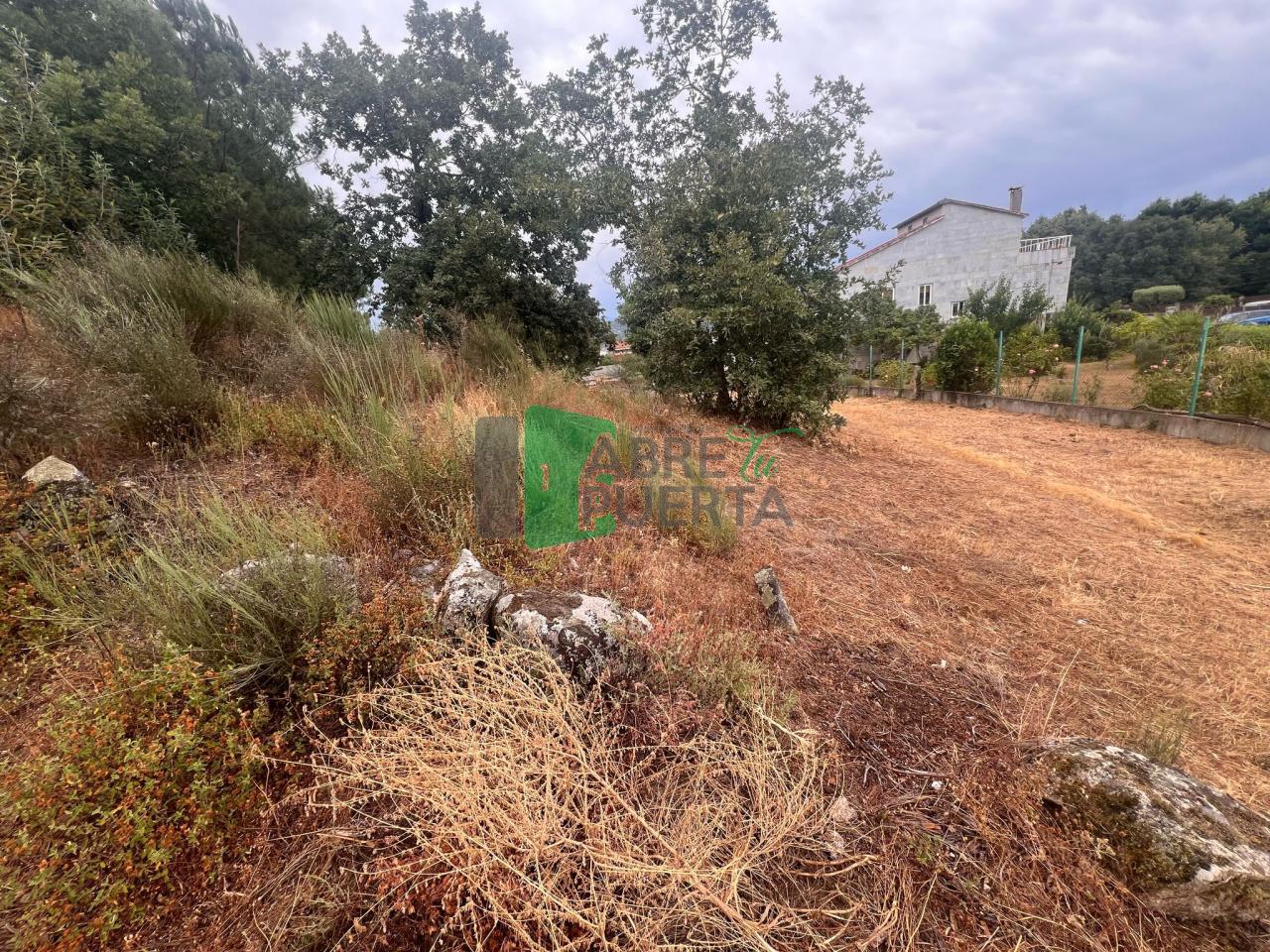 FINCA EDIFICABLE