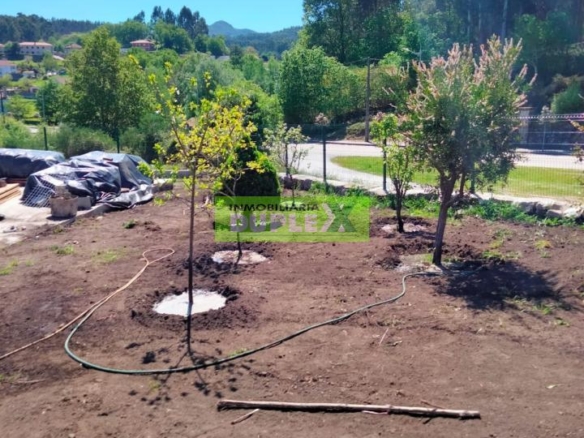 ¡Oportunidad Única en Fornelos de Montes! Terreno Urbano con Proyecto Básico para Vivienda Unifamiliar