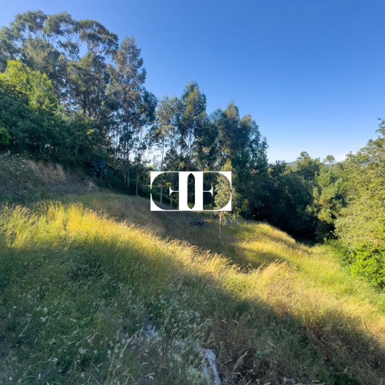 Oportunidad única: Casa con terreno y vistas en el corazón de Hío.