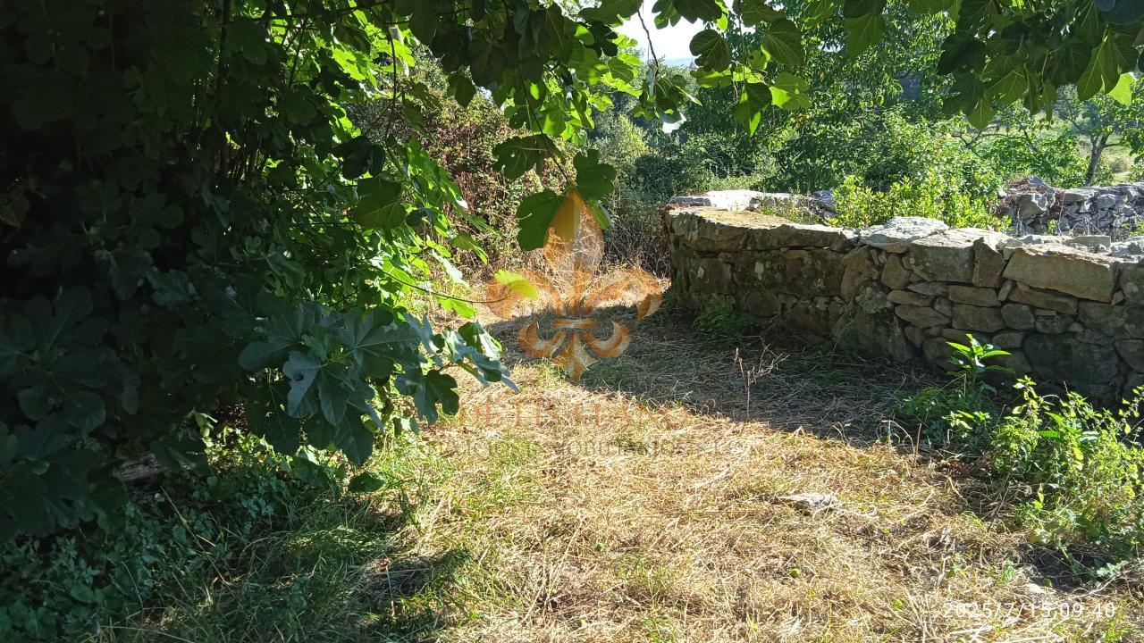 175266170819700010012_175266158412 Venta de suelo rústico en Matamá – Vigo