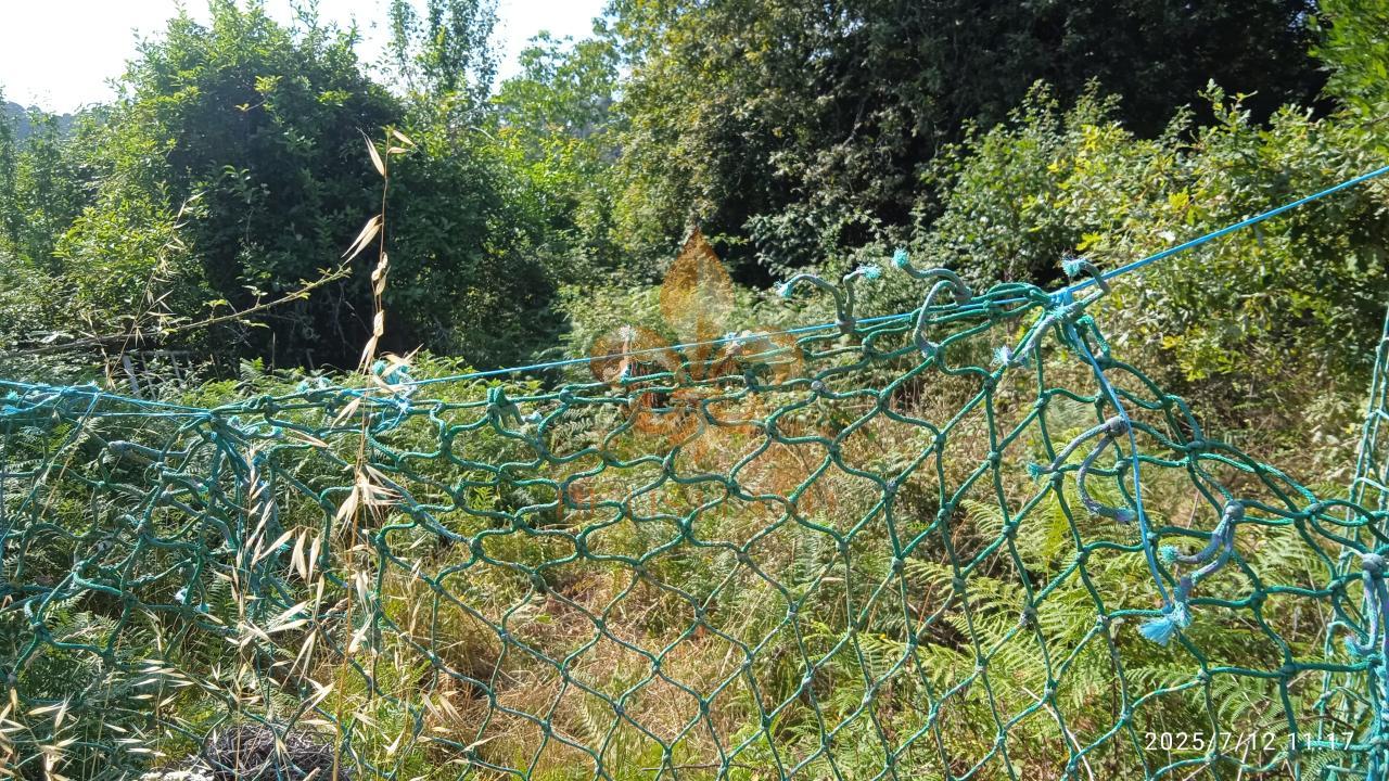 175266171084100010012_175266158888 Venta de suelo rústico en Matamá – Vigo