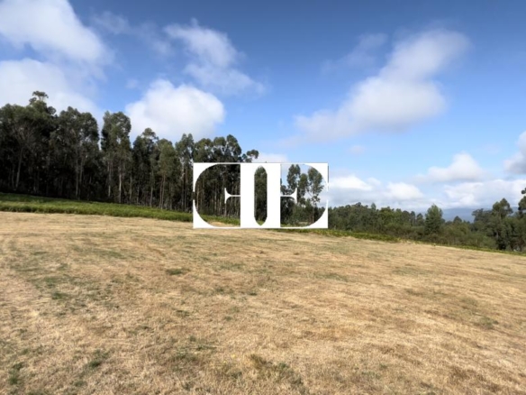 Terreno Rústico de 20.000€m² en Monte Galleiro – Oportunidad Única para Proyecto Agrario o Club Hípico