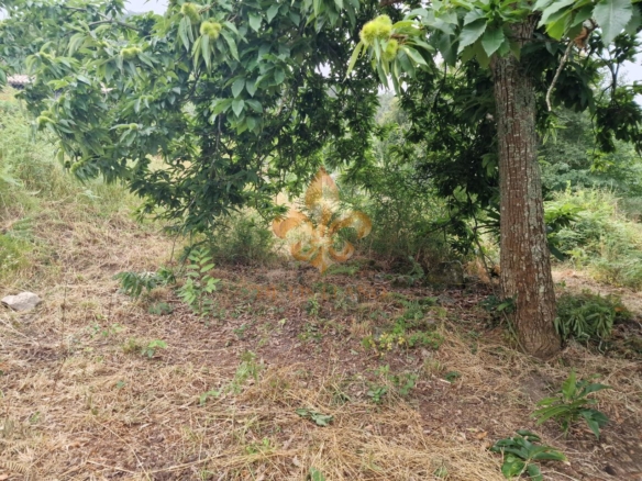 Casa rústica en venta en Peitieiros – Gondomar