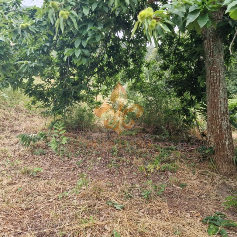 Casa rústica en venta en Peitieiros – Gondomar