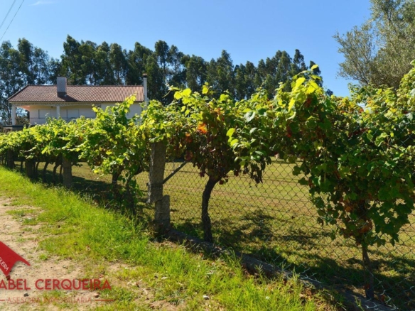 GRAN VIVIENDA EN VALENÇA CON 6.000 m² DE TERRENO – IDEAL PARA CASA RURAL